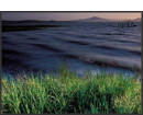 Bay Planning Coalition